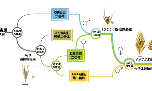 用了护肤品后脸上起了密密麻麻的小疙瘩-用了后脸上起疙瘩网脸上用了药膏后面突然特别痒知识网站,分享抹完脸后发红怎么回事大全